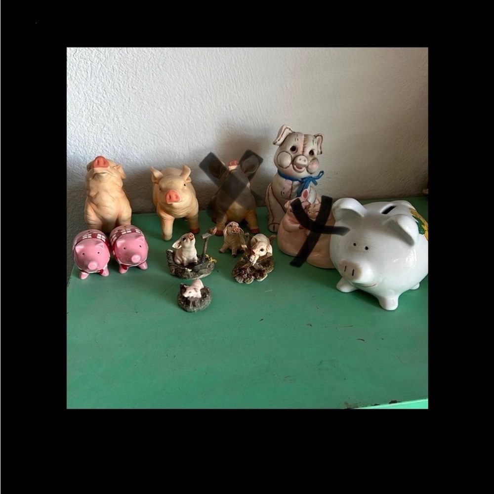 Pig collection
